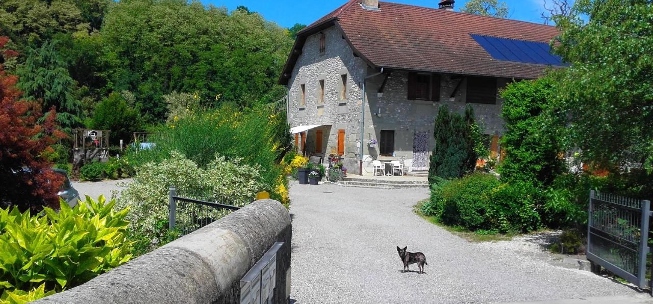 Escapade Champetre Bed and Breakfast Hauteville-sur-Fier Esterno foto