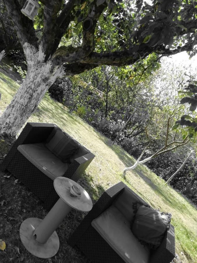 Escapade Champetre Bed and Breakfast Hauteville-sur-Fier Esterno foto